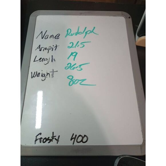 Rudolph Scrub Top Ladies Medium Red‎ V-Neck - Picture 7 of 7